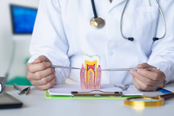 Best Tooth Infection Emergency Dentist  in St Peter, MN
